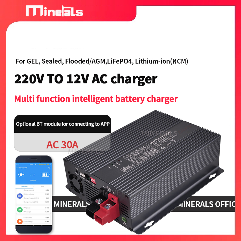 Chargeur de batterie intellige - Lithium Battery 12V avis et prix